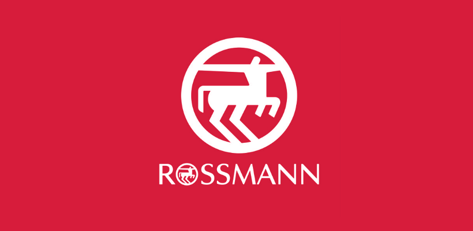 prace wysokościowe wrocław